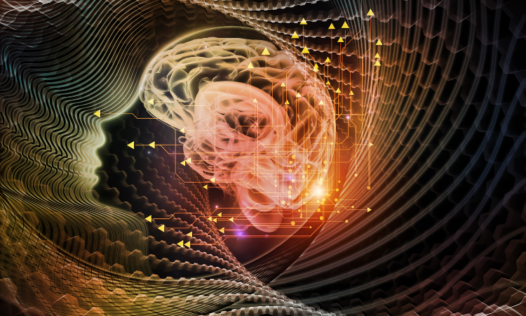 How Yoga Transforms the Mind